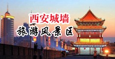 美女被操出淫水视频网站中国陕西-西安城墙旅游风景区